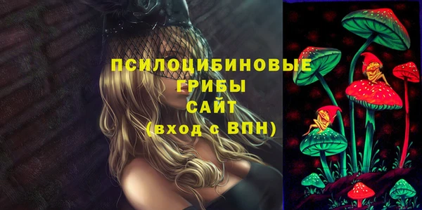 винт Осташков