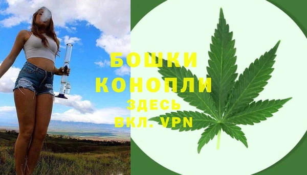 не бодяженный Переславль-Залесский