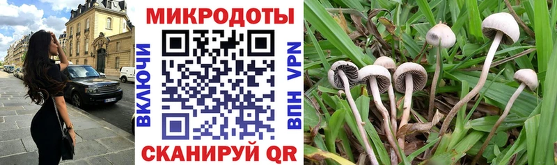 Псилоцибиновые грибы прущие грибы  Лебедянь 